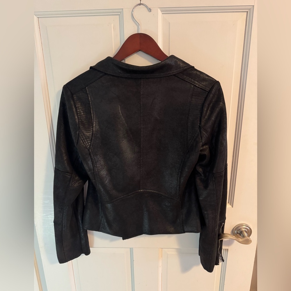 Evereve Marren Moto Jacket - Picture 4 of 7